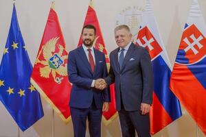 Fico: Crna Gora ima istorijsku priliku da uspješno završi...