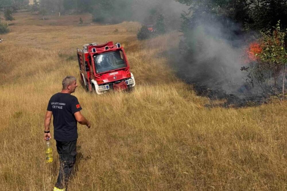 Požar u Katunskoj nahiji, Foto: Služba zaštite Prijestonice Cetinje