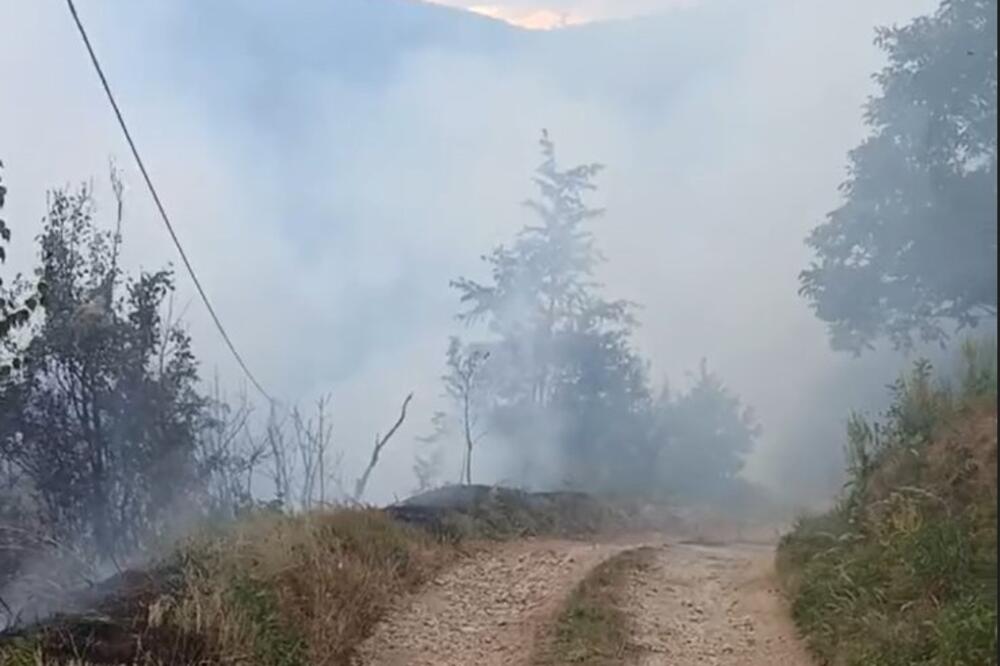 Foto: Jadranka Ćetković