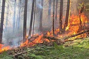 Bijelo Polje: Buknuo veliki požar na Stožeru