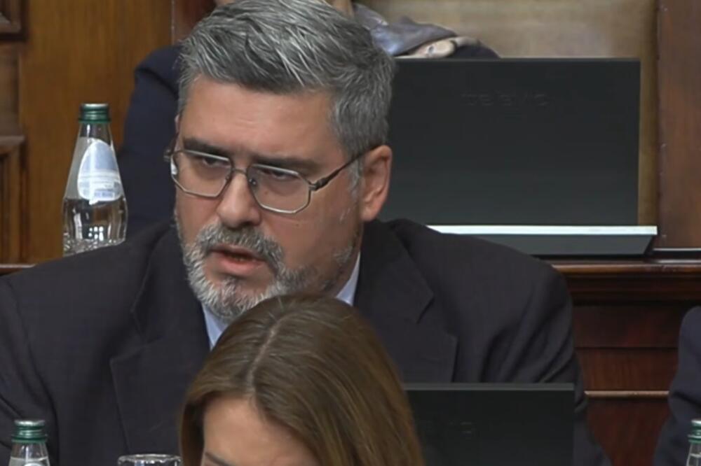 Starović u skupštini Srbije, Foto: Screenshot/Youtube