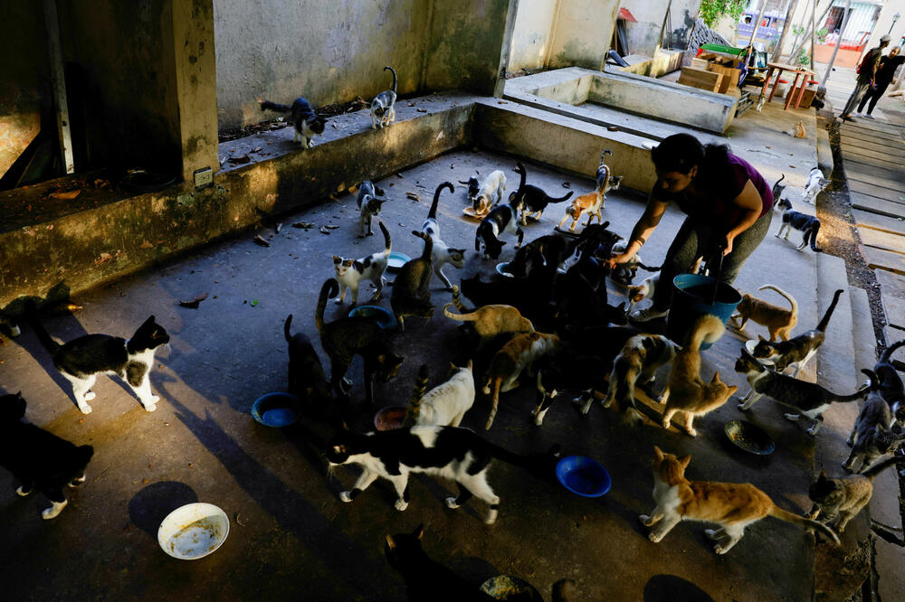 Detalj iz centra Aldameros, Foto: Reuters