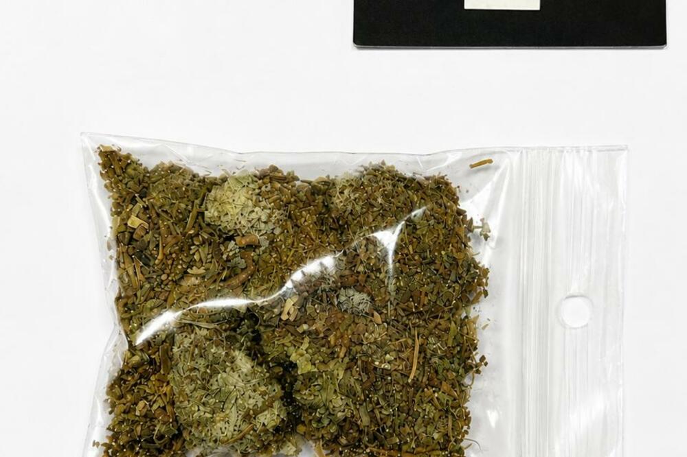 Oduzeta marihuana, Foto: Uprava policije