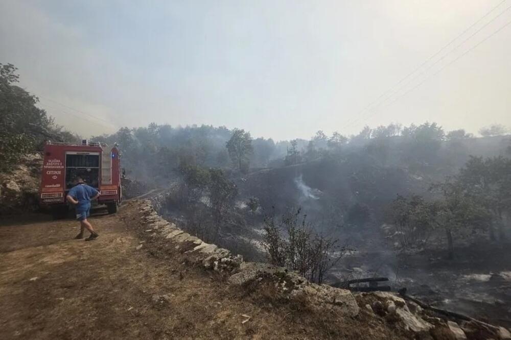 Foto: SZS/RTV Cetinje