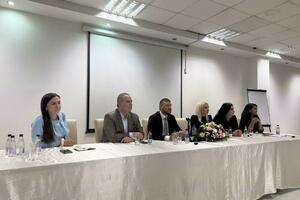 Milionski projekat zapeo zbog oraha
