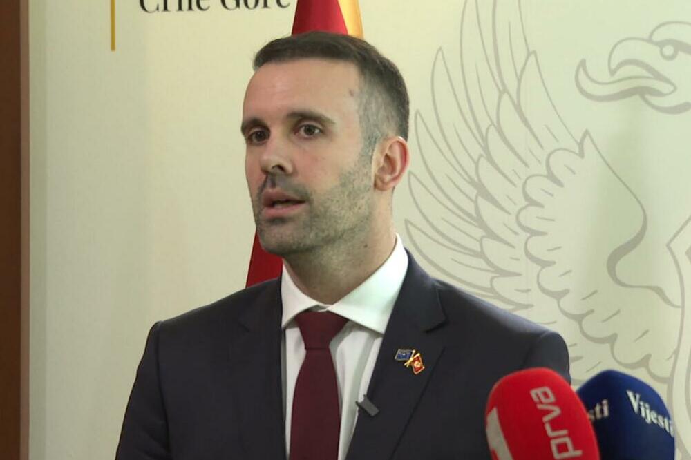 Spajić, Foto: Screenshot/TV Vijesti