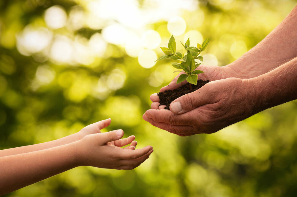 Foto: Shutterstock