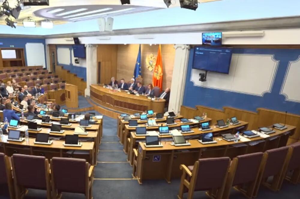 Sa sjednice, Foto: Screenshot/Youtube/Skupština Crne Gore