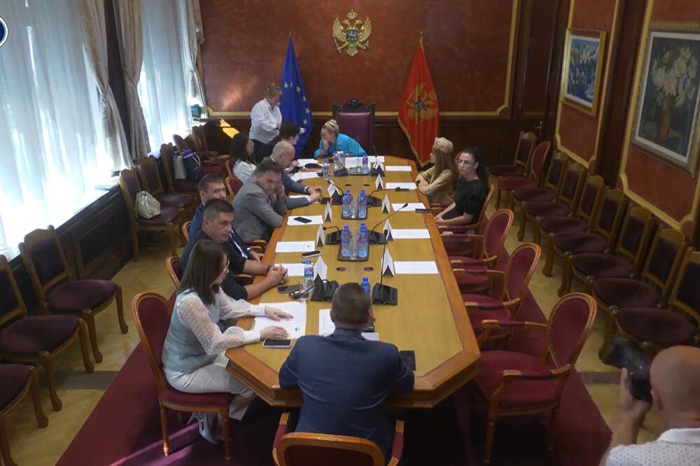 Sa odbora, Foto: Screenshot/Skupština Crne Gore