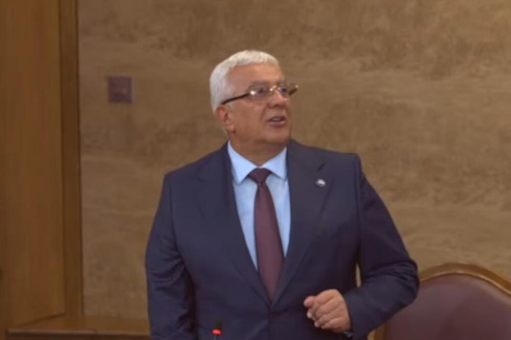 Mandić, Foto: Screenshot/Youtube/Skupština Crne Gore