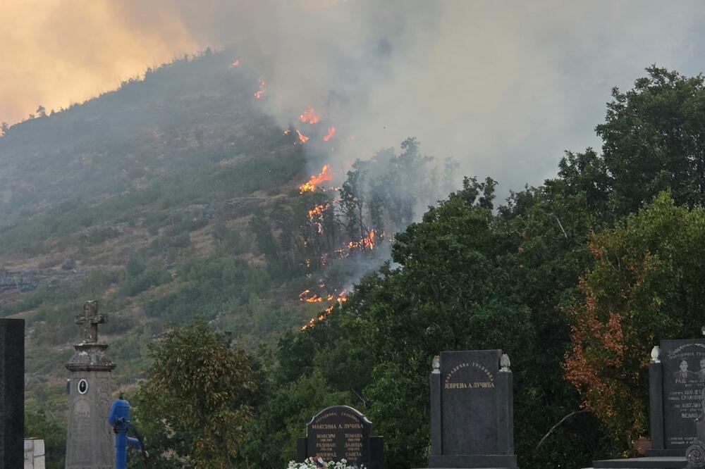 Požar u blizini groblja, Foto: Služba zaštite i spašavanja Nikšić