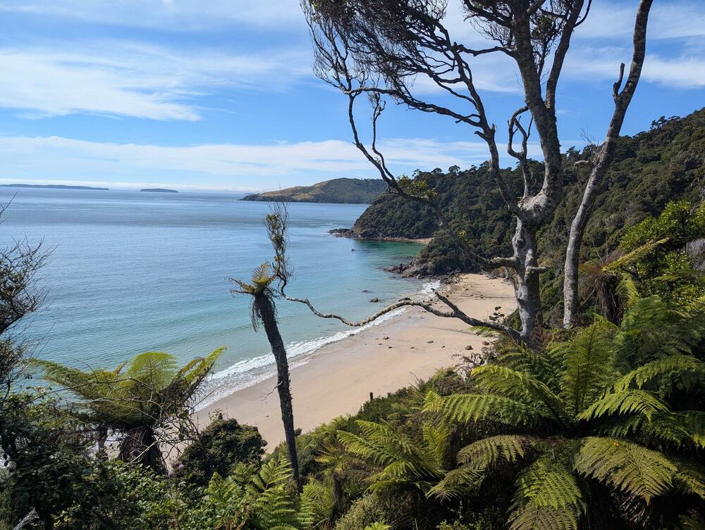 Rakiura