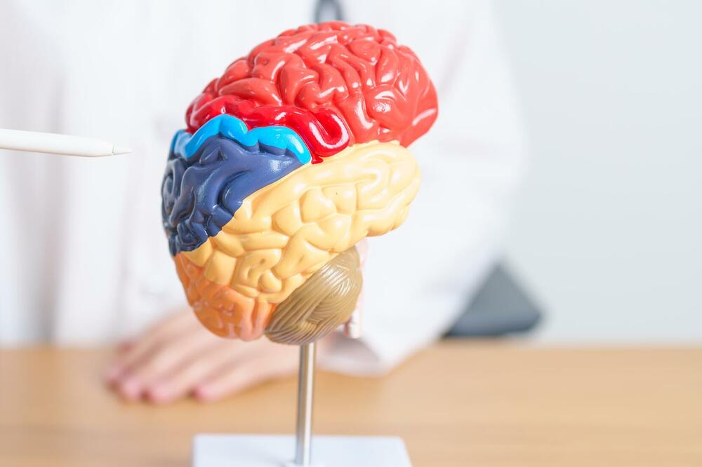 Foto: Shutterstock