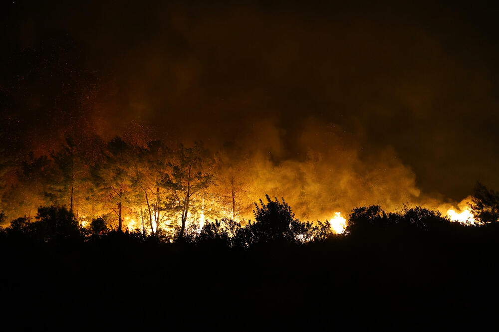 Foto: Antalya Metropolitan Municipality via AP