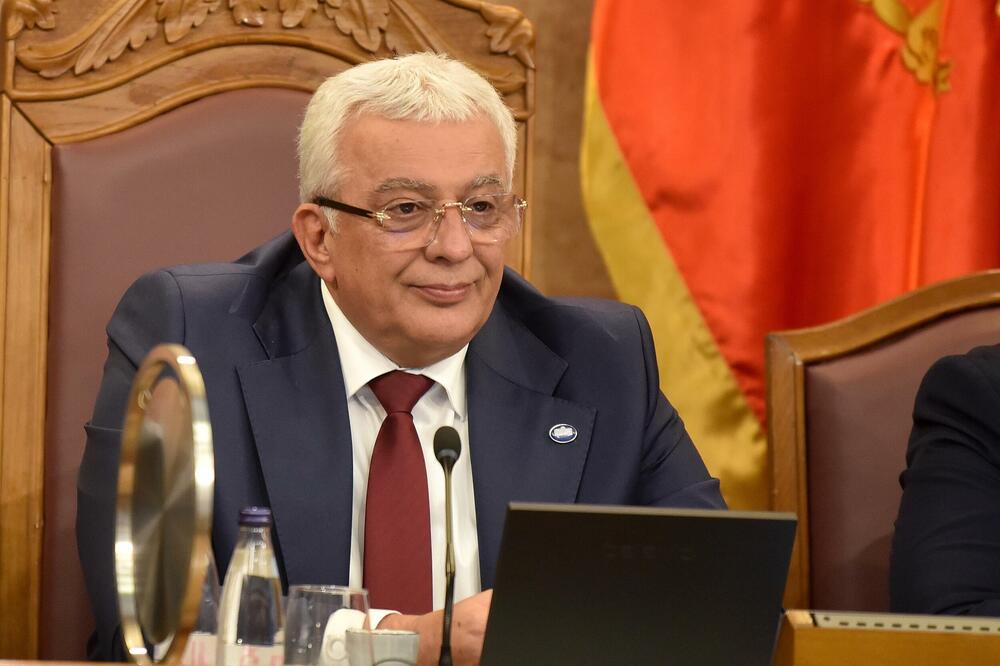 Potreban broj za smjenu zavisiće od broja prisutnih poslanika: Mandić, Foto: BORIS PEJOVIC