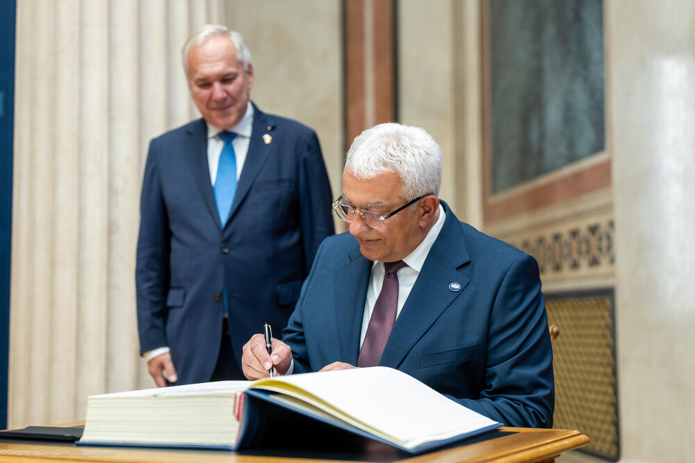 Mandić: Ne postoji potrebna većina za moju smjenu