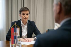 Brnabić Piculi: Srbija ne traži specijalni tretman, već samo...