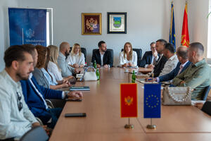 Papović: Proces evropske integracije treba da se pretvori u...