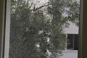 Budva: Kamenovane prostorije opozicionog "Pokreta za Grad"