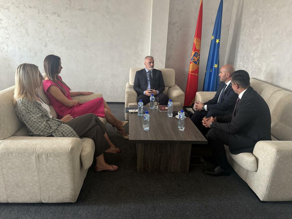 Zoran Jojić, Igor Ognjenović