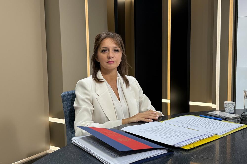 Snežana Armenko, Foto: Ustavni sud