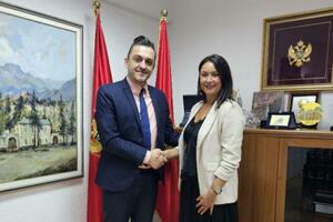 Vučinić osporila konkurs, izbor direktora na čekanju: Više od...