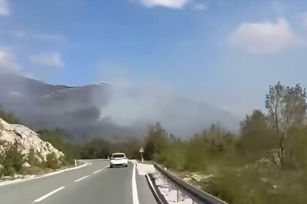 Požar na Vojniku, Foto: Privatna arhiva