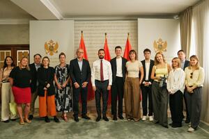 Milatović: Vladavina prava, nezavisne institucije i zaštita...