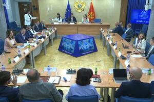 Gutić: Posljednjih godina u Crnoj Gori raste broj prijavljenih...