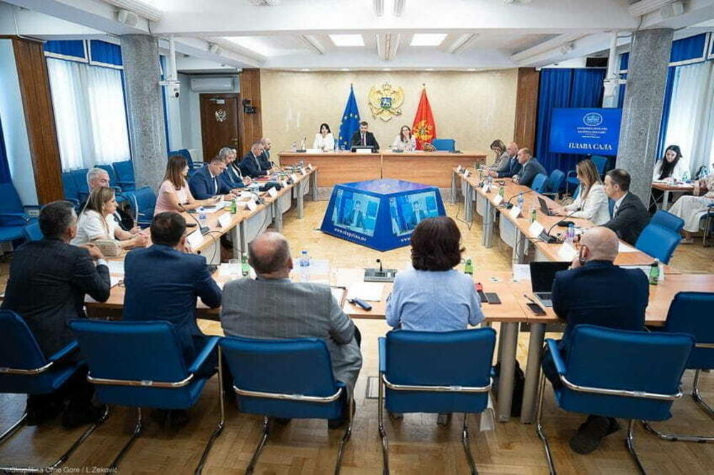 Sa jučerašnje sjednice Odbora za zdravstvo, rad i socijalno staranje, Foto: skupstina.me