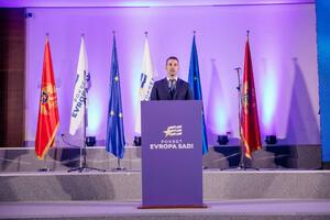 Spajiću ističe mandat, kongresa ni na vidiku: PES ne najavljuje...
