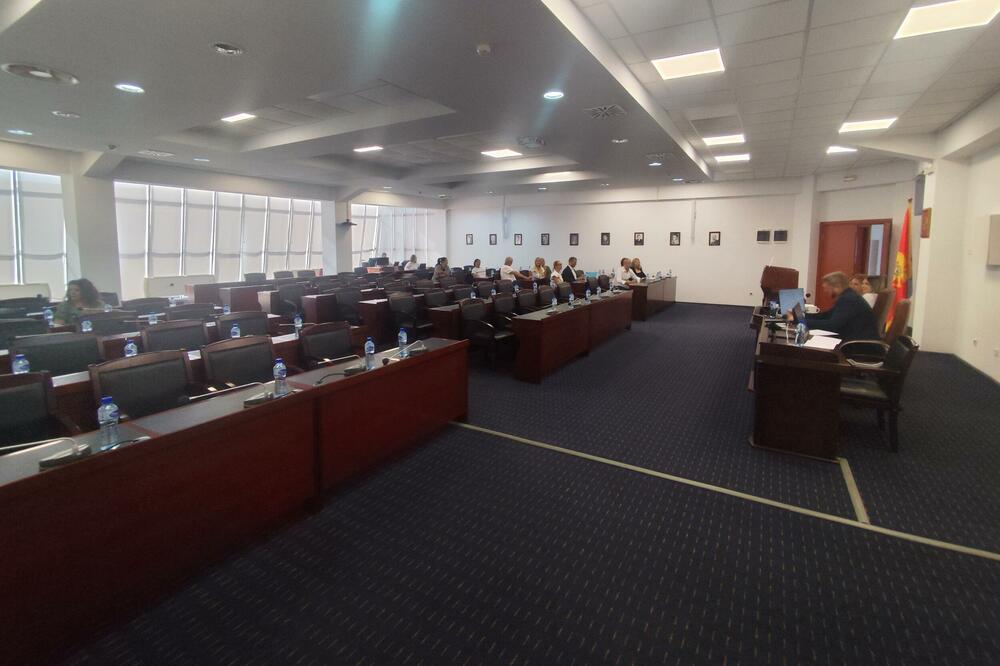 Marković nije saopštio kad će ponovo pokušati da održi sjednicu: detalj iz SO Tivat, Foto: Siniša Luković