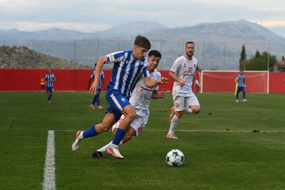 Petar Vujović
