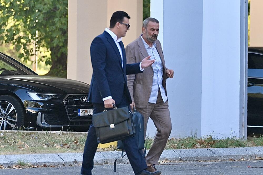 Milović dolazi u SPO, Foto: Risto Božović