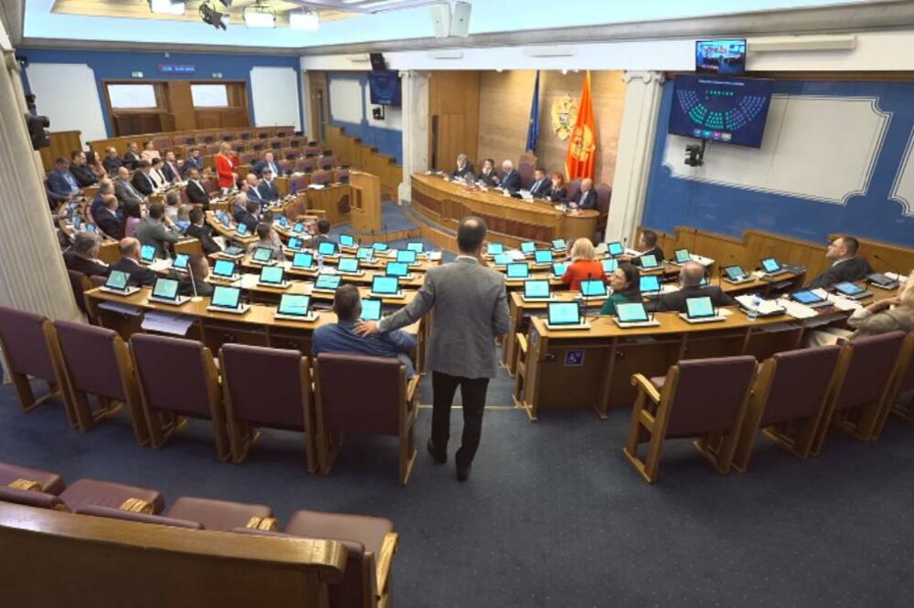 Sa sjednice, Foto: Skupština Crne Gore/Youtube