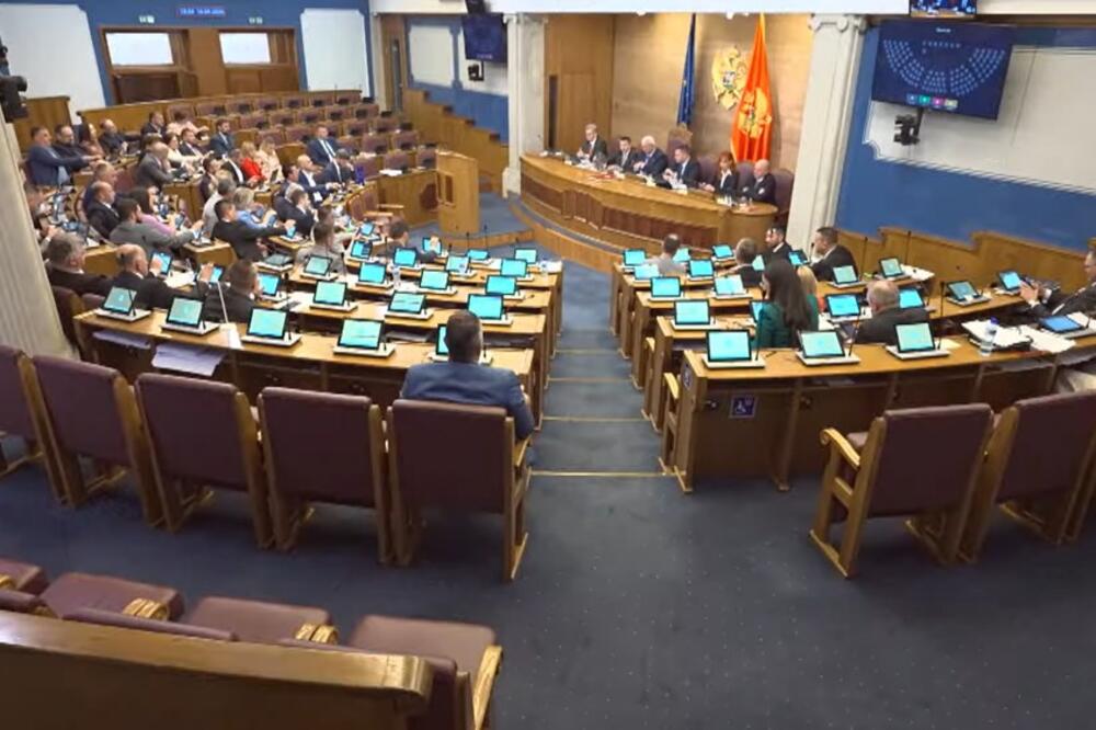 Foto: Screenshot/Skupština Crne Gore