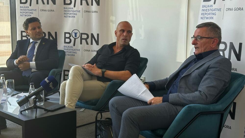 BIRN panel