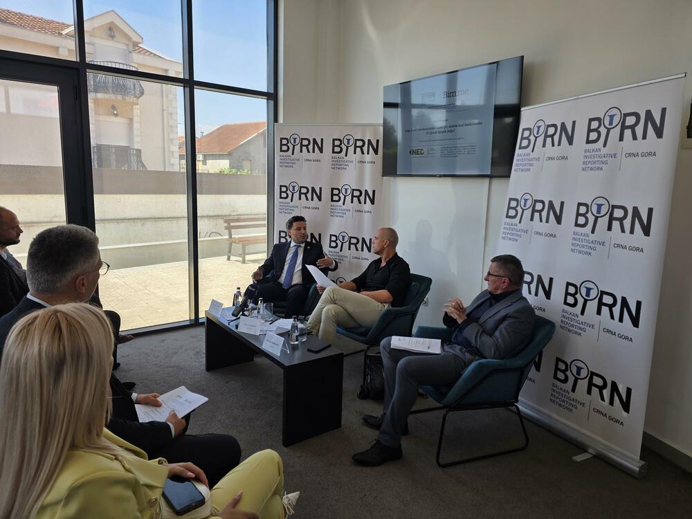BIRN panel
