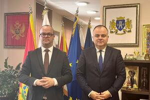 Herceg Novi priprema nove projekte iz oblasti ekologije, računaju...