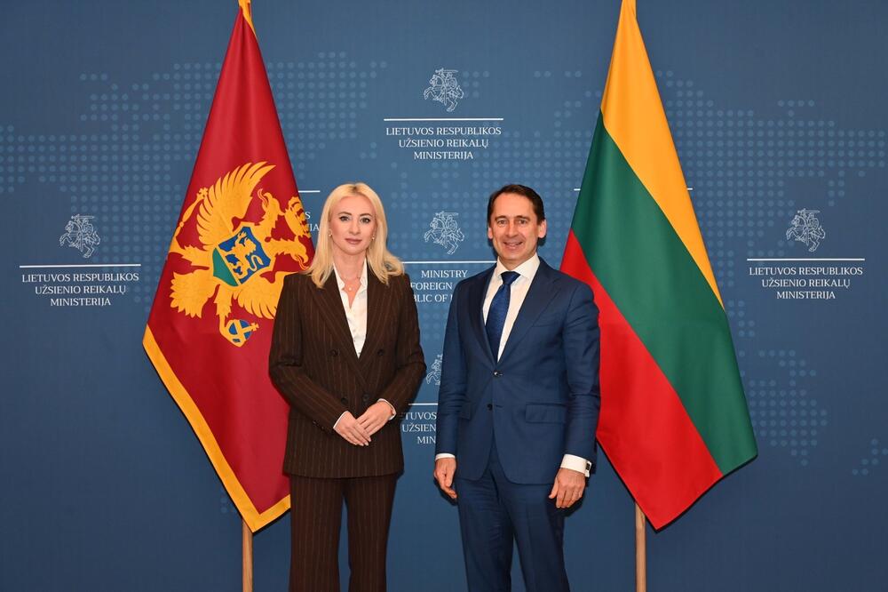 Maida Gorčević i Sigitas Mitkus, Foto: Ministarstvo evropskih poslova
