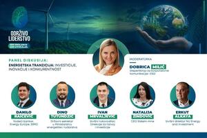 Energetska tranzicija: Investicije, inovacije i konkurentnost