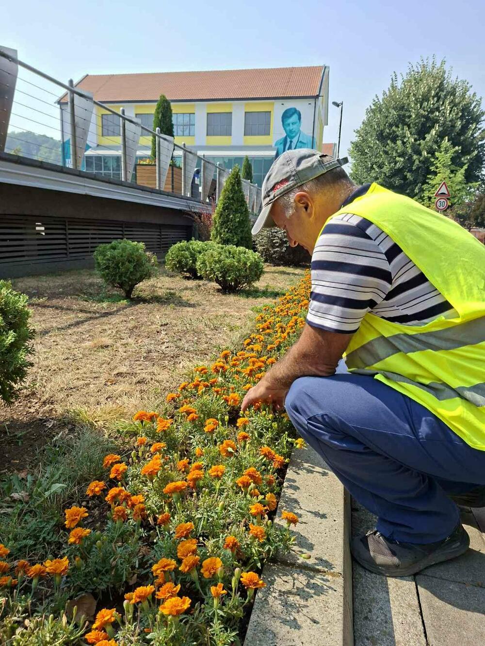 dvorišta Pljevlja