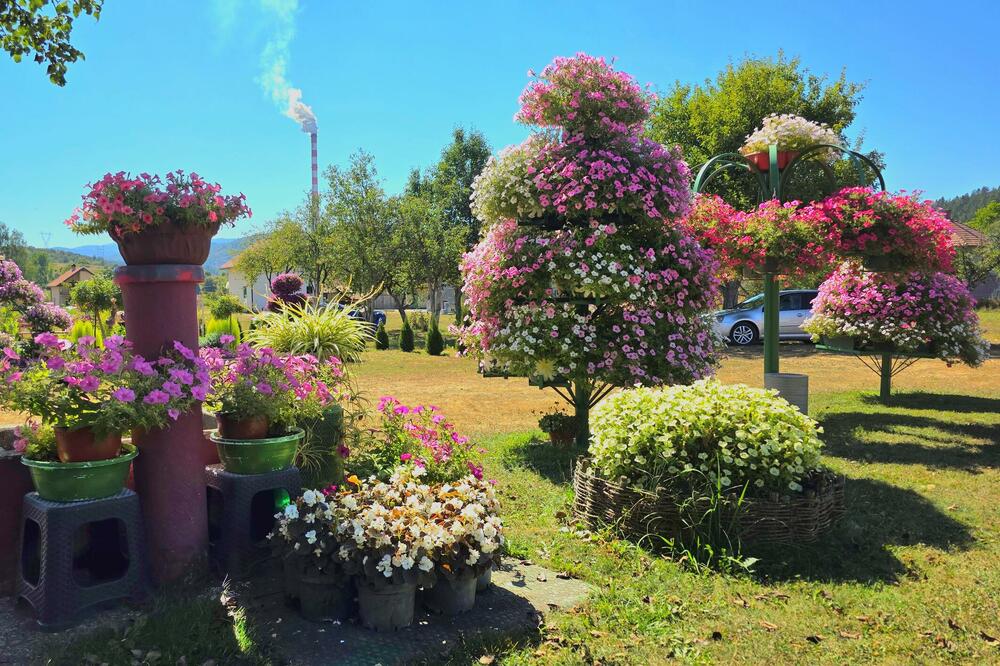 Foto: Opština Pljevlja