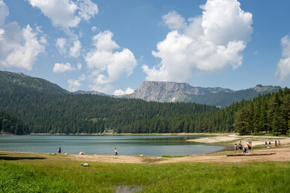 Foto: Shutterstock