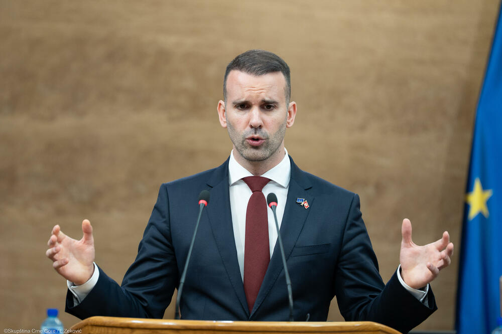 Bježanje na &ldquo;svoj&rdquo; teren: Spajić, Foto: Luka Zeković/Skupština