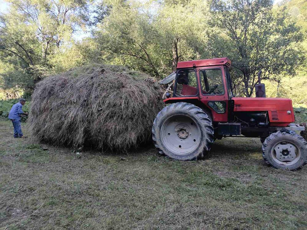 Sijena ne smije da fali