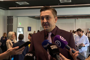 Vuković: Potrebno mi je još vremena da analiziram predloženi...