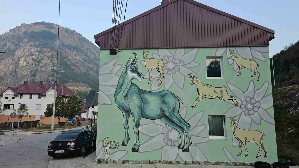 <p>Mural Lab Šavnik 2026 okupio umjetnike iz Crne Gore, regiona i Evrope, a grad sada krasi šest novih murala inspirisanih crnogorskim nasljeđem, prirodom i savremenom umjetnošću</p>