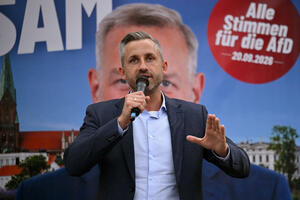 Šta ako AfD bude vladao u Saksoniji-Anhaltu: U Berlinu se razmatra...