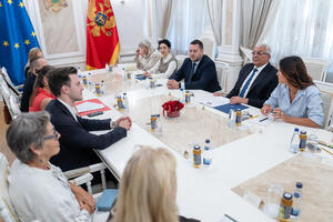 Mandić: Crna Gora spremna za završnicu evropskog puta